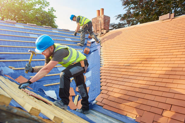 Best Gutter Installation and Repair  in Ash Grove, MO